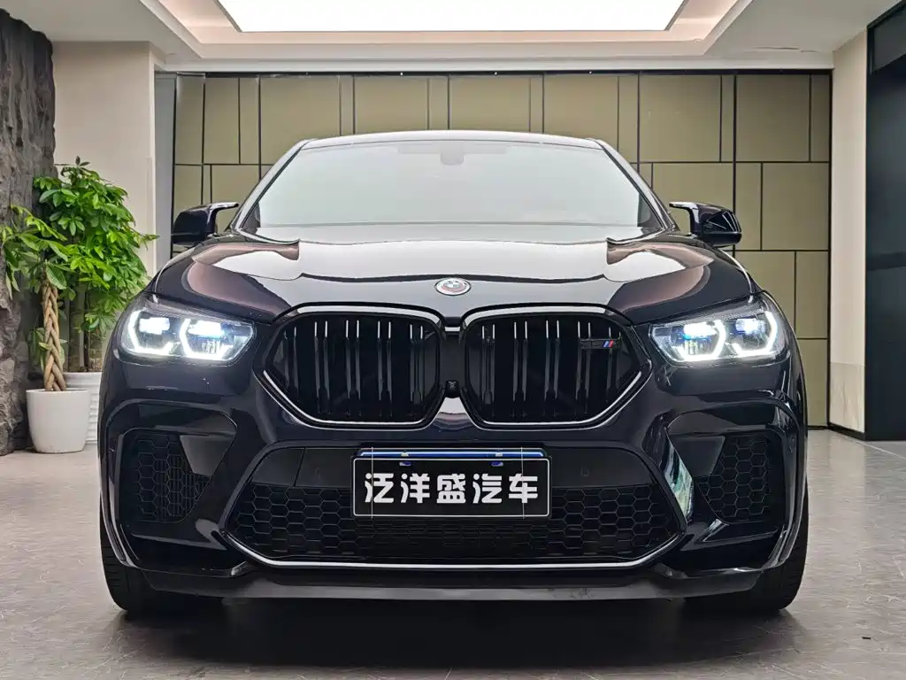BMW X6 M — миниатюра 2