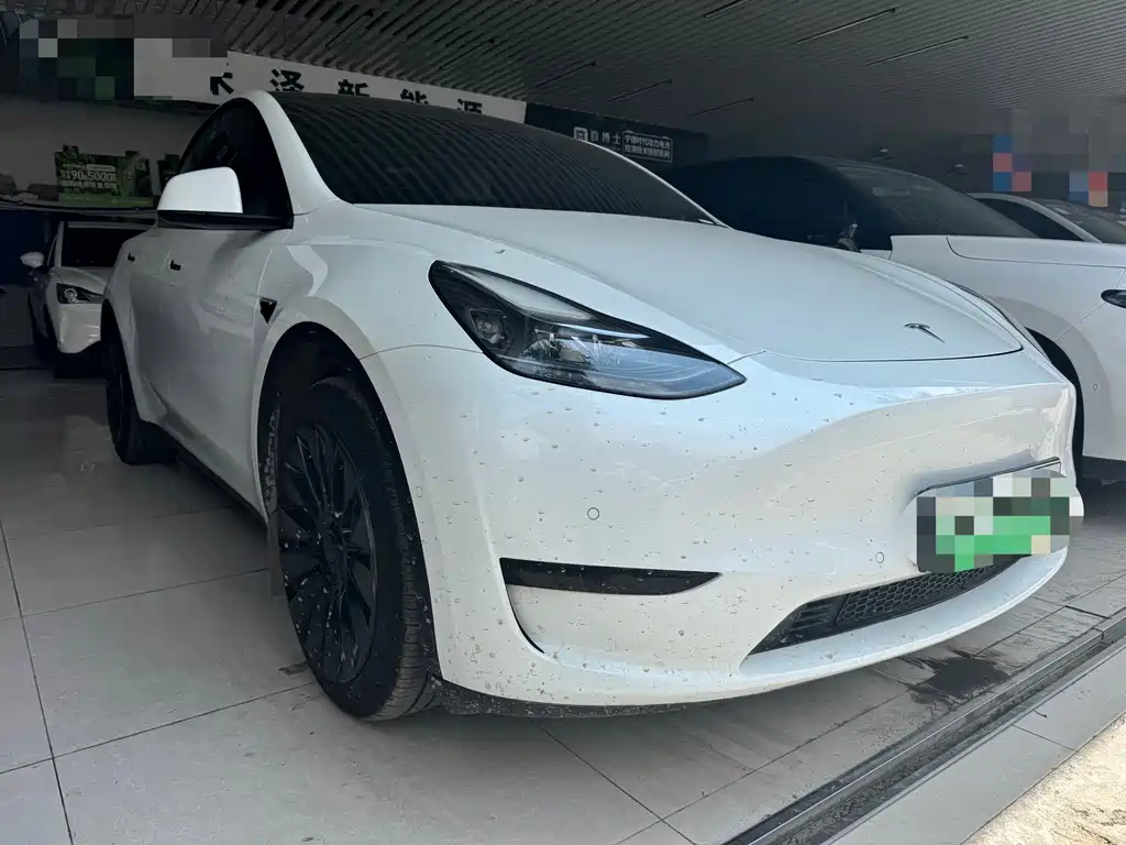 Tesla Model Y — миниатюра 3
