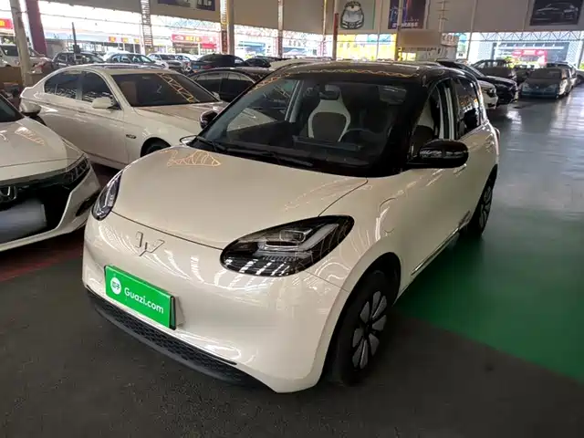 2024 Wuling Motors Binguo