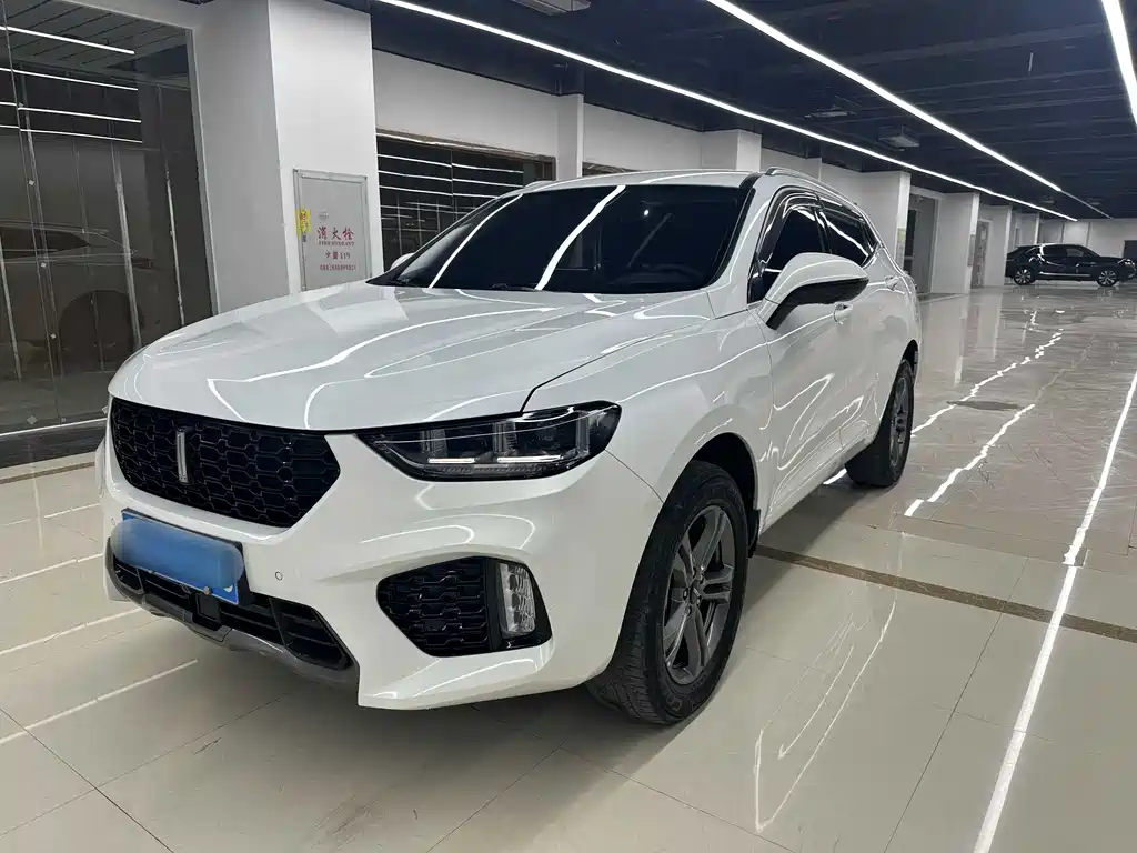 Wey Wey VV5 2019