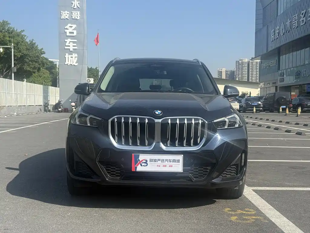 BMW X1 — миниатюра 2