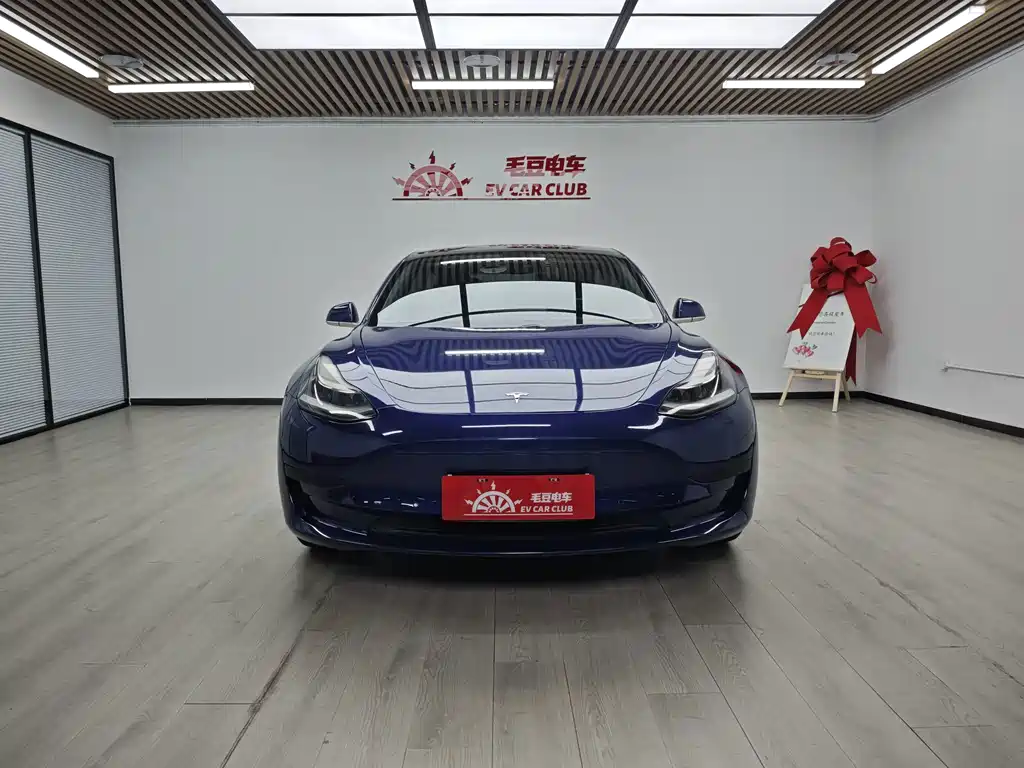 Tesla Model 3 — миниатюра 3