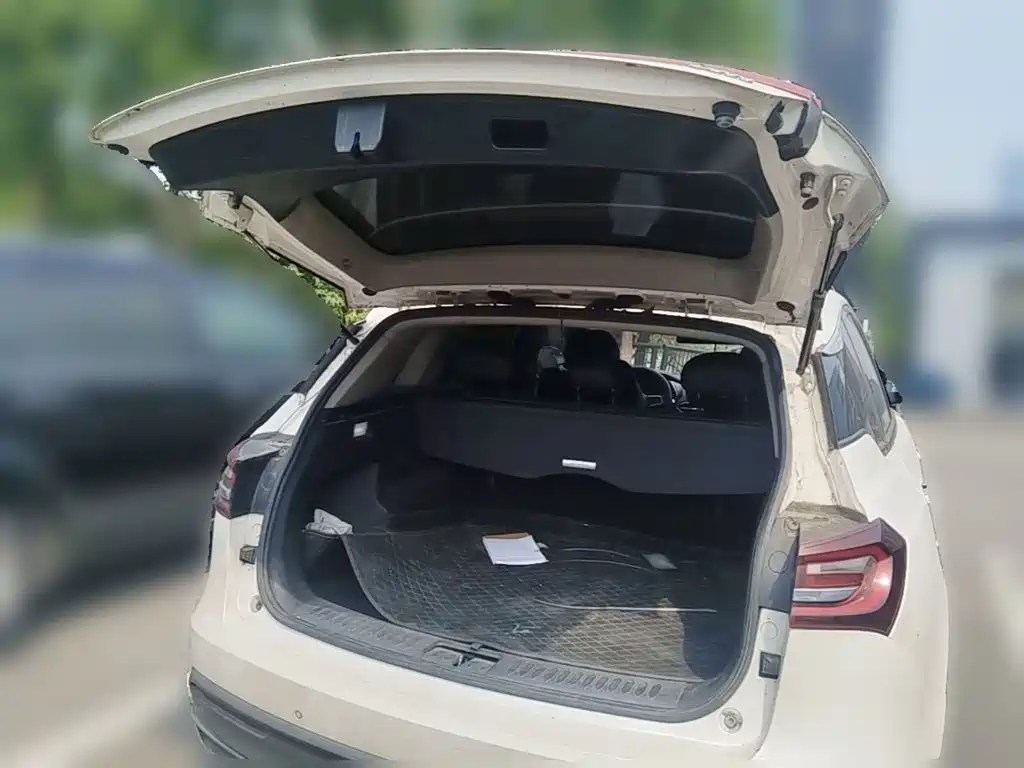Zotye Zotye T600 — миниатюра 24
