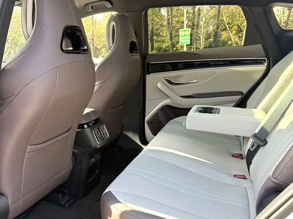 BYD SONGJIANG NEW ENERGY