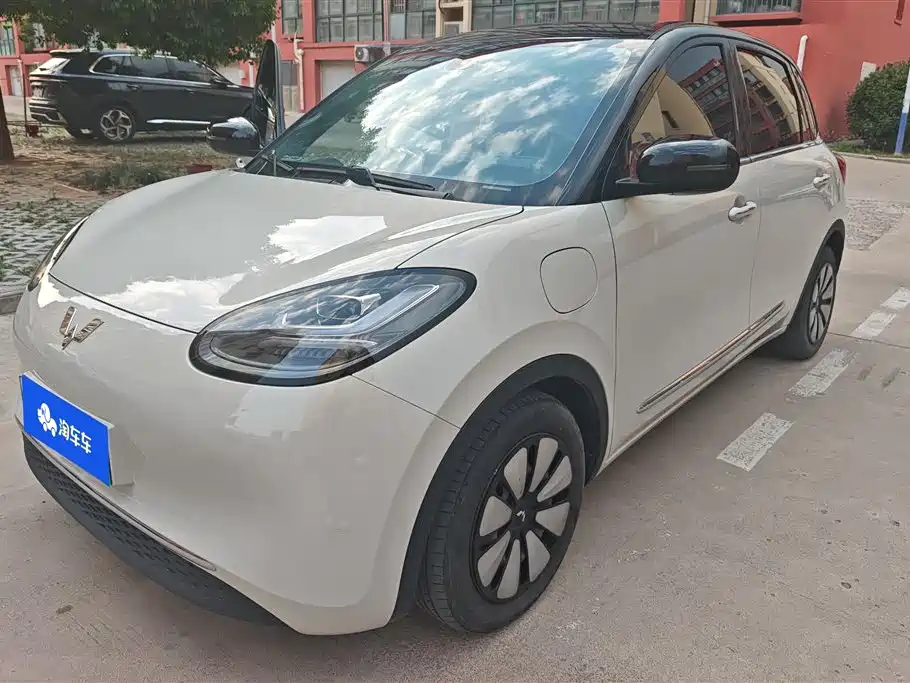 Wuling Bingo 2024