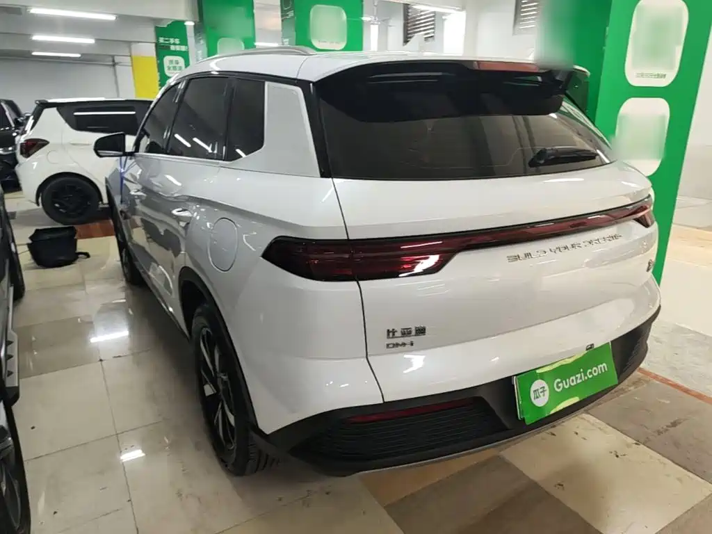 BYD Pro New Energy — миниатюра 5