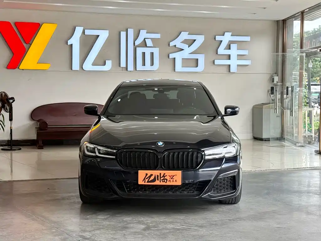 BMW 5 Series (Import) — миниатюра 2