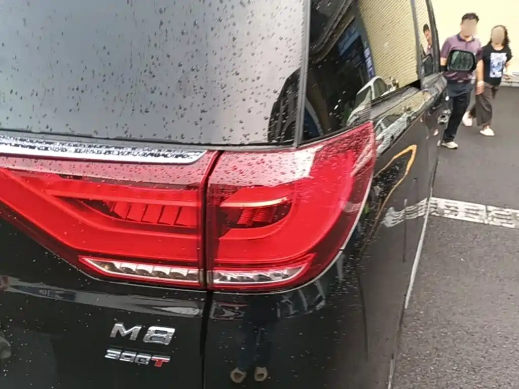 GAC Motor Trumpchi M8 — миниатюра 8