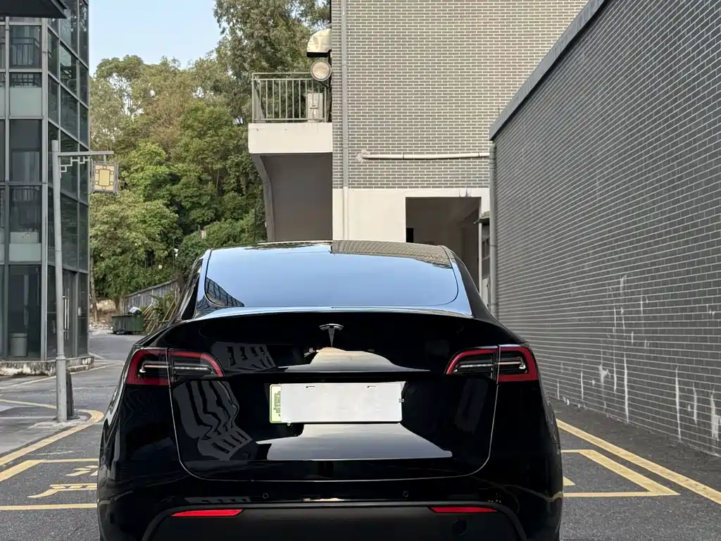 Tesla Model Y — миниатюра 11