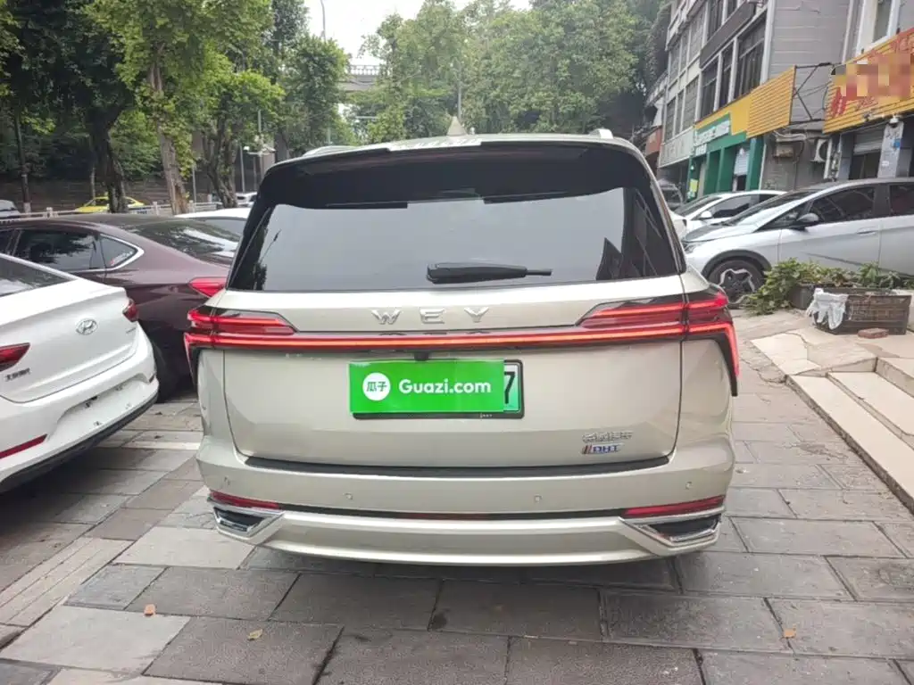Wey Wey Lanshan — миниатюра 6