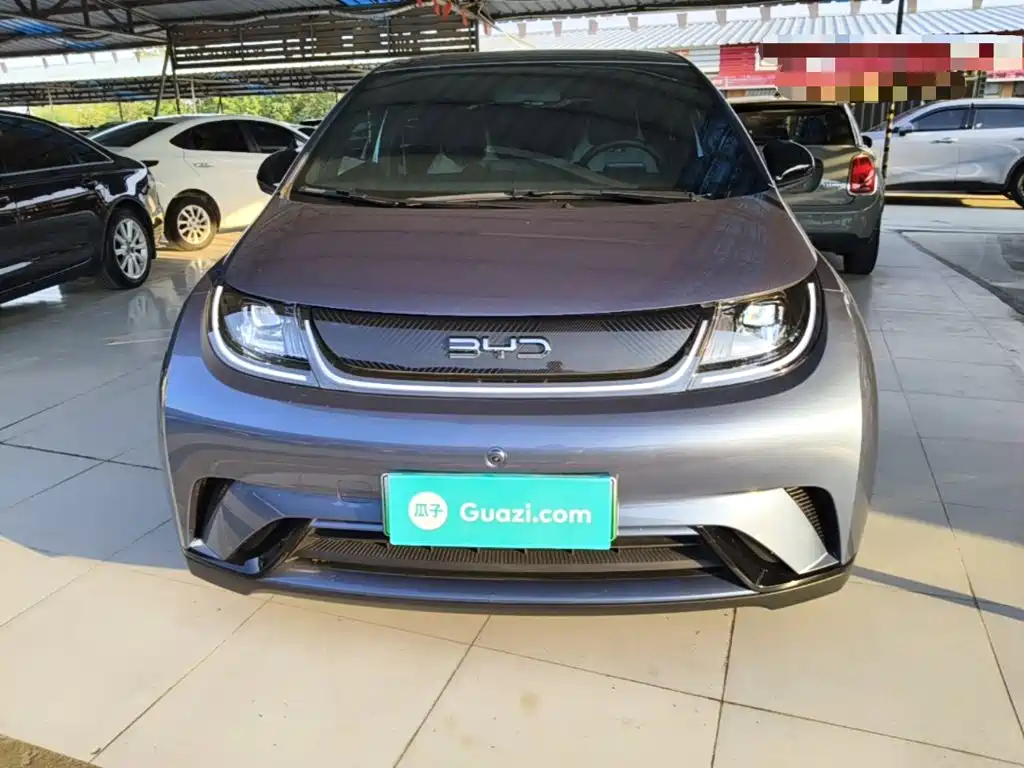 BYD Dolphin — миниатюра 3