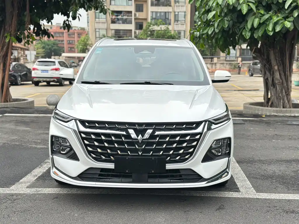 WULING WULING CAPGEMINI