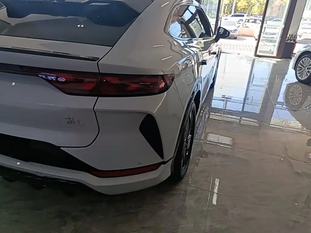 BYD L EV — миниатюра 8