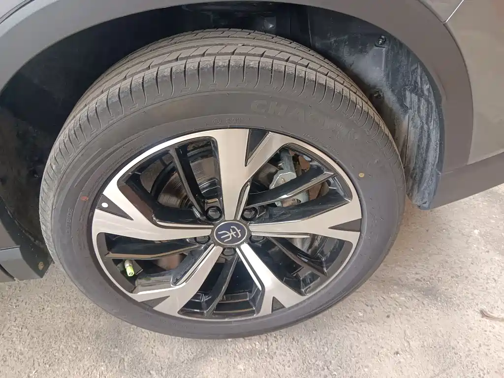 BYD SONGJIANG NEW ENERGY