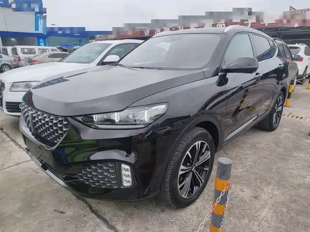2020 Wey VV6