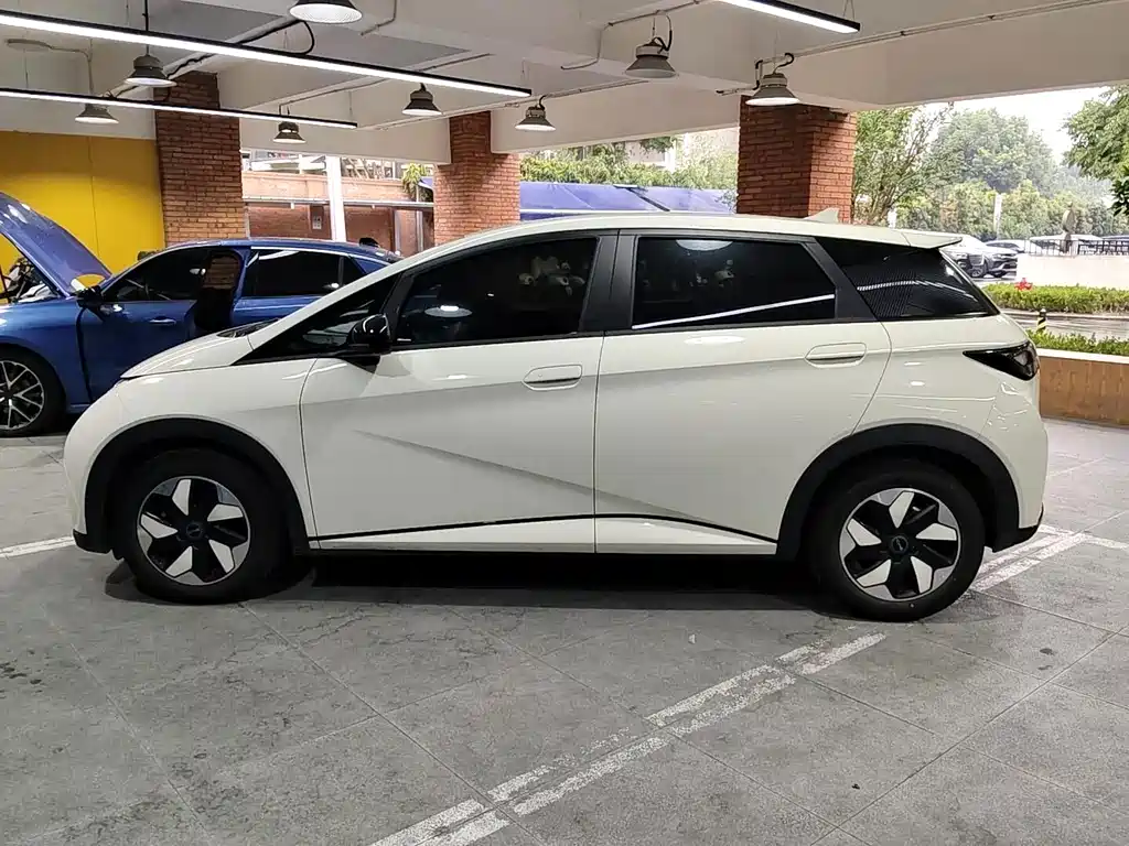 BYD Dolphin — миниатюра 2
