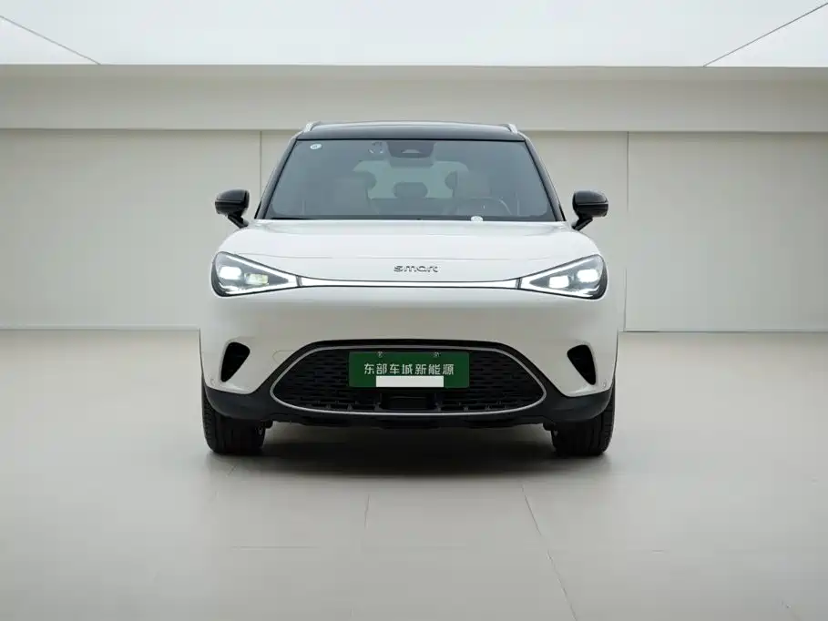 smart Smart #1 — миниатюра 2