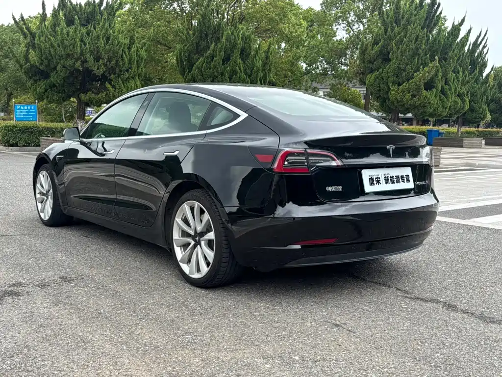 Tesla Model 3 — миниатюра 6