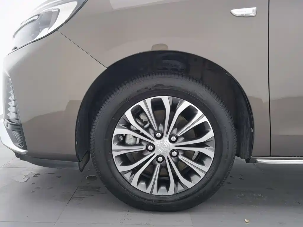 Buick GL8 — миниатюра 17