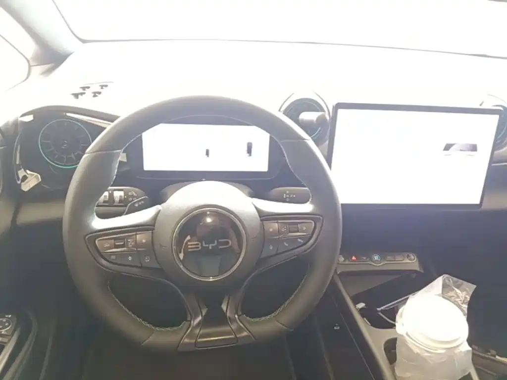 BYD Dolphin — миниатюра 11