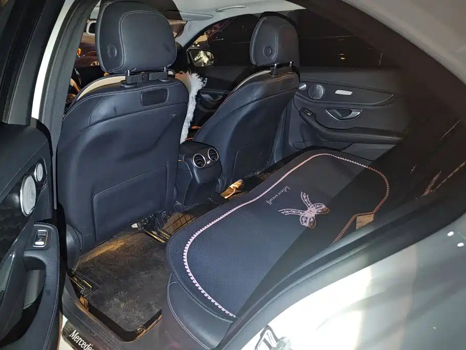 Mercedes-Benz C-Class — миниатюра 10