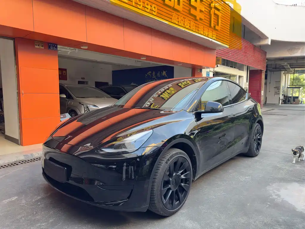 Tesla Model Y 2024