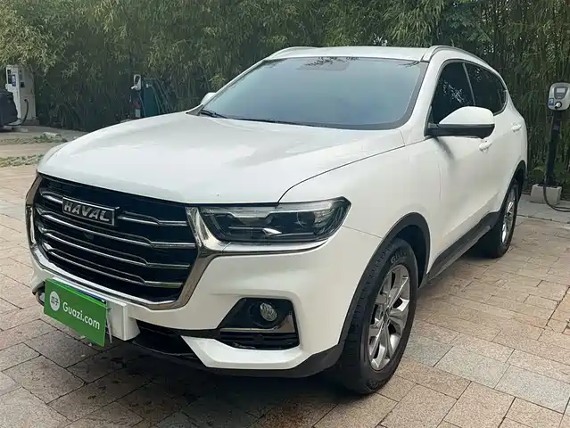 HAVAL  H6