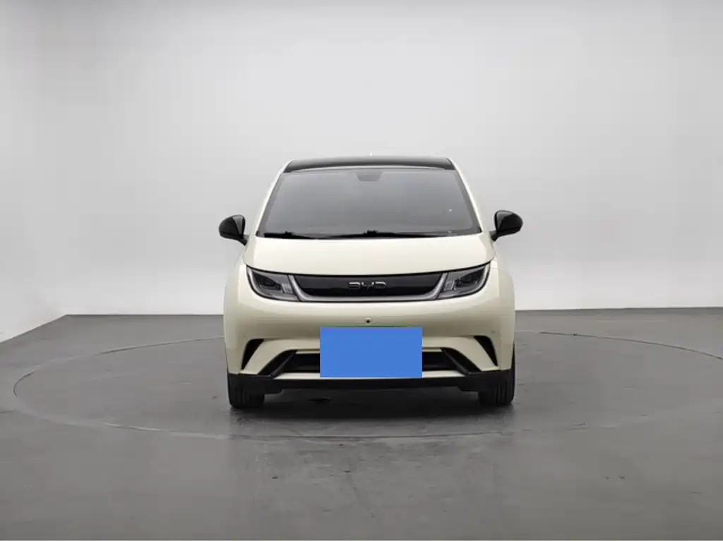 BYD Dolphin — миниатюра 2