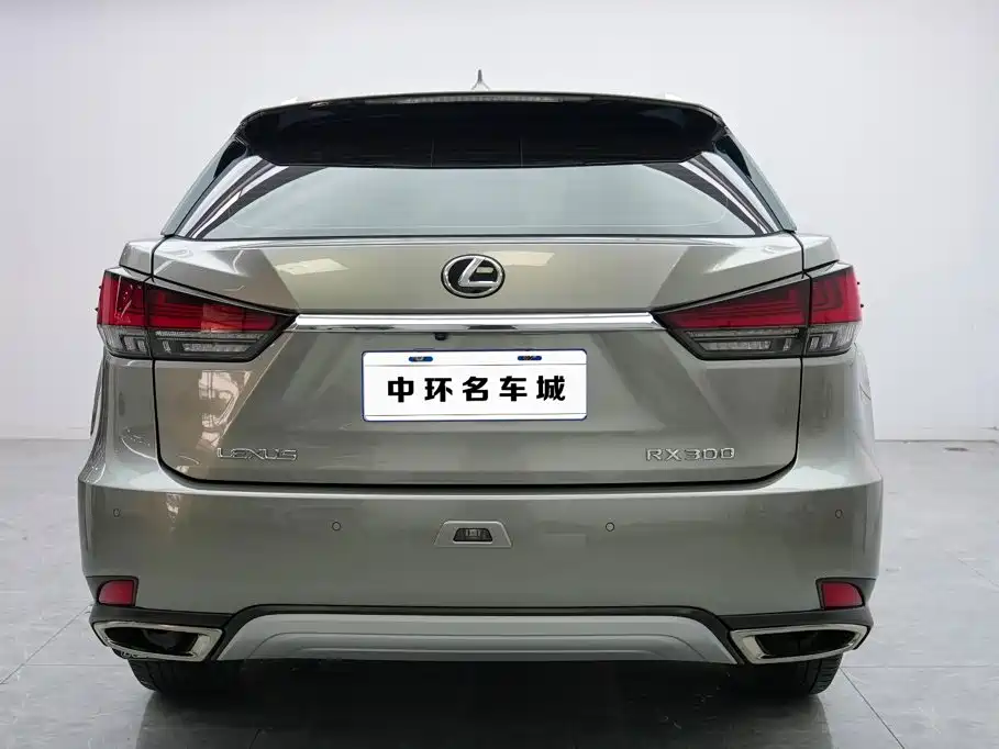 Lexus RX — миниатюра 20