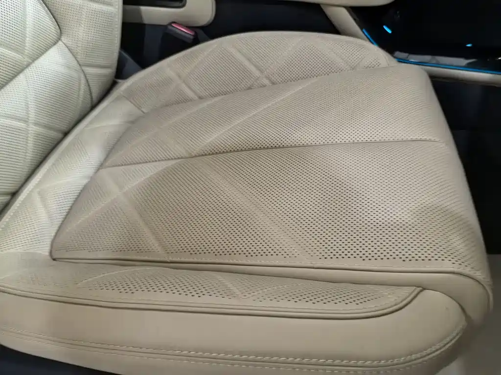 FANG CHENG BAO LEOPARD 5