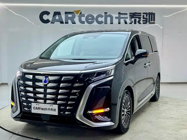 2024 Denza D9
