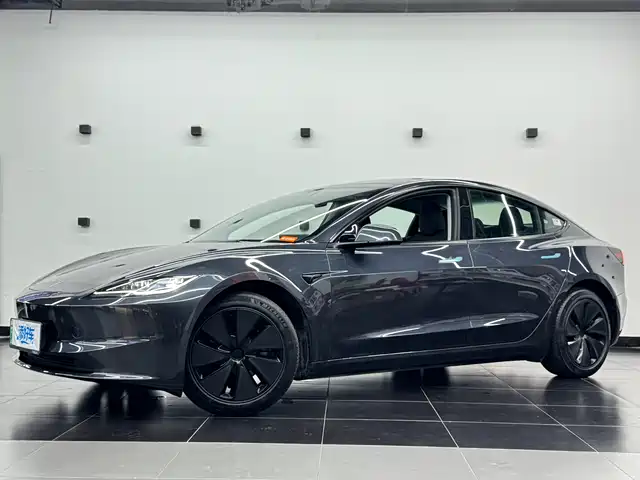 TESLA MODEL 3 2024