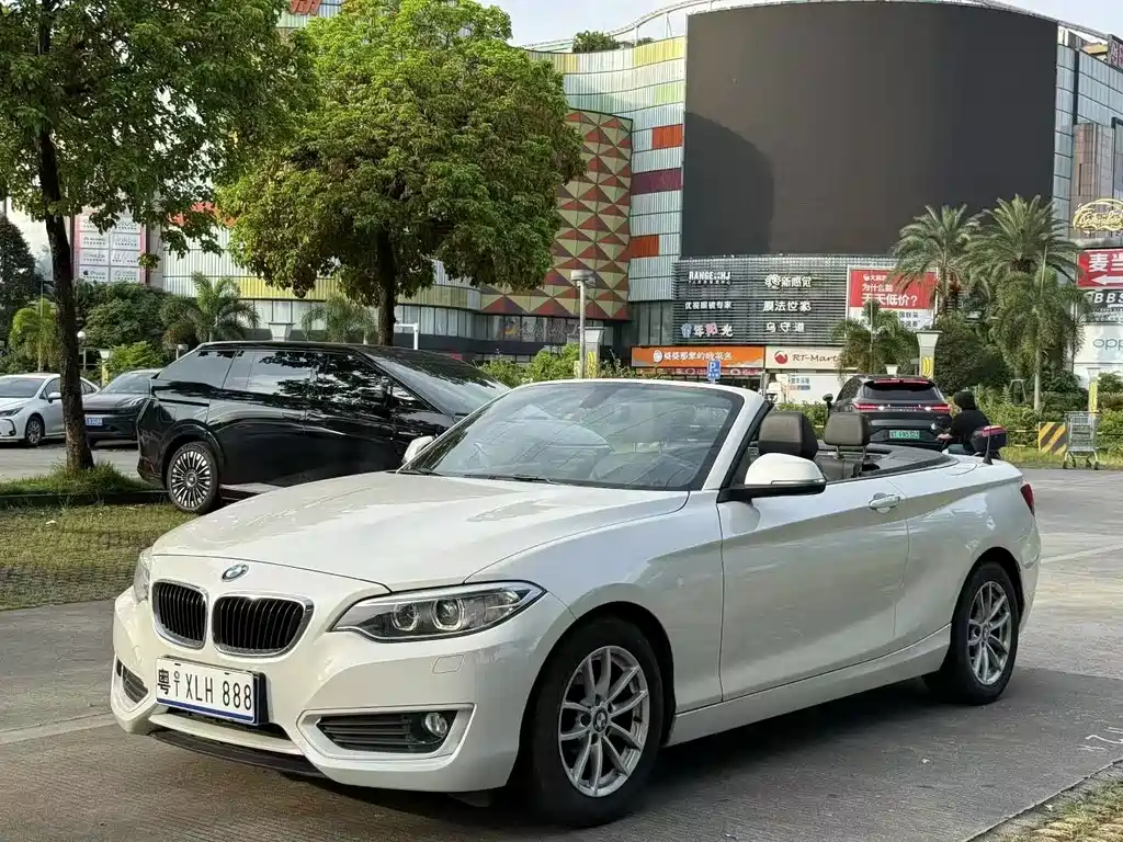 BMW 2 Series (Import)