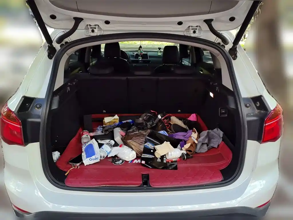 BMW X1 — миниатюра 10