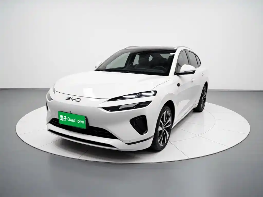 BYD Sealion 06