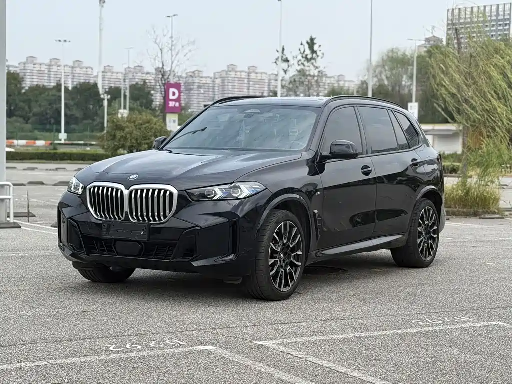 BMW X5 — миниатюра 2