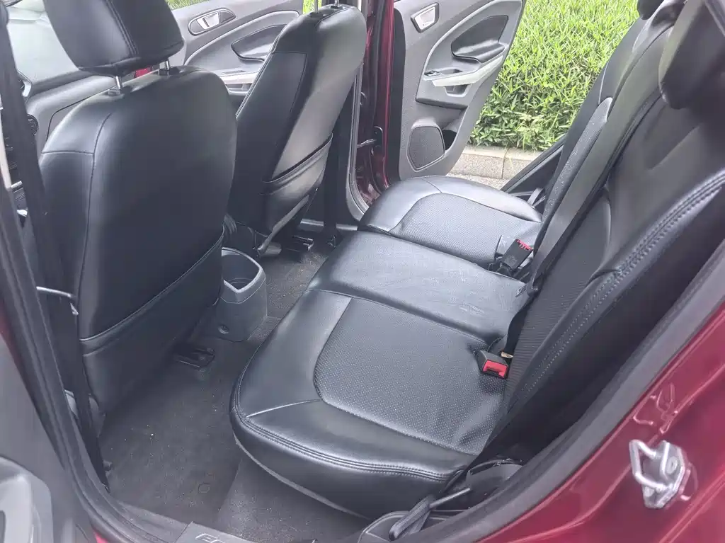 Ford Ecosport — миниатюра 10