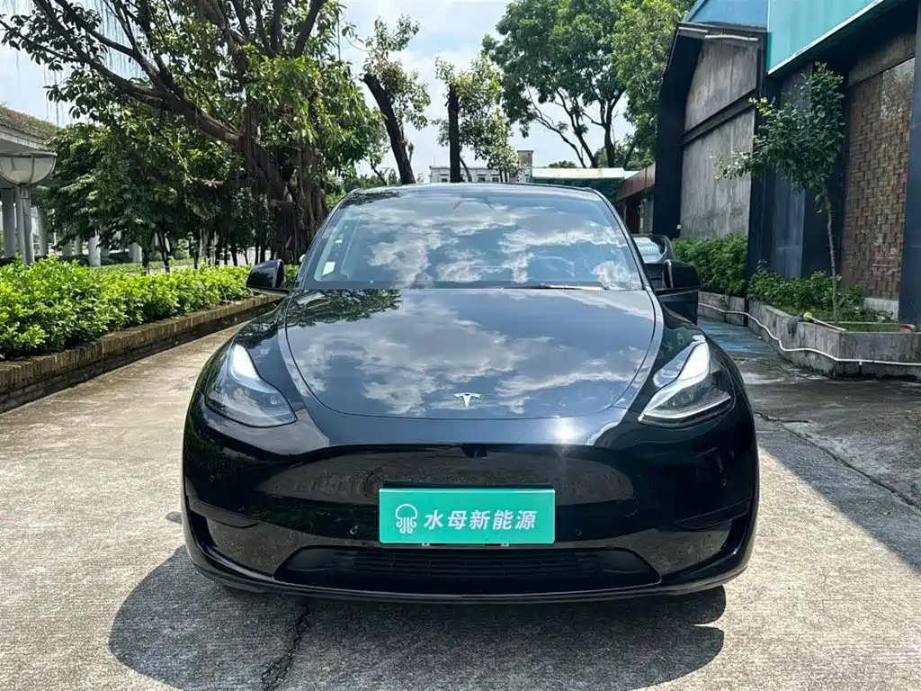 Tesla Model Y — миниатюра 2
