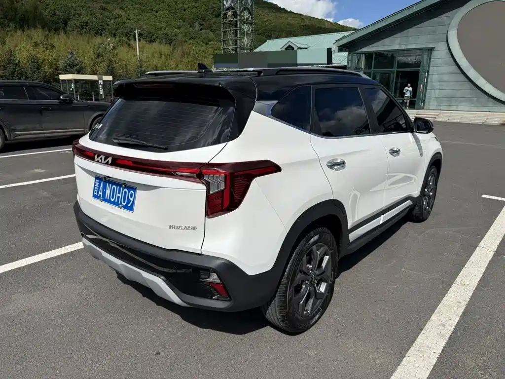 Kia Seltos — миниатюра 5