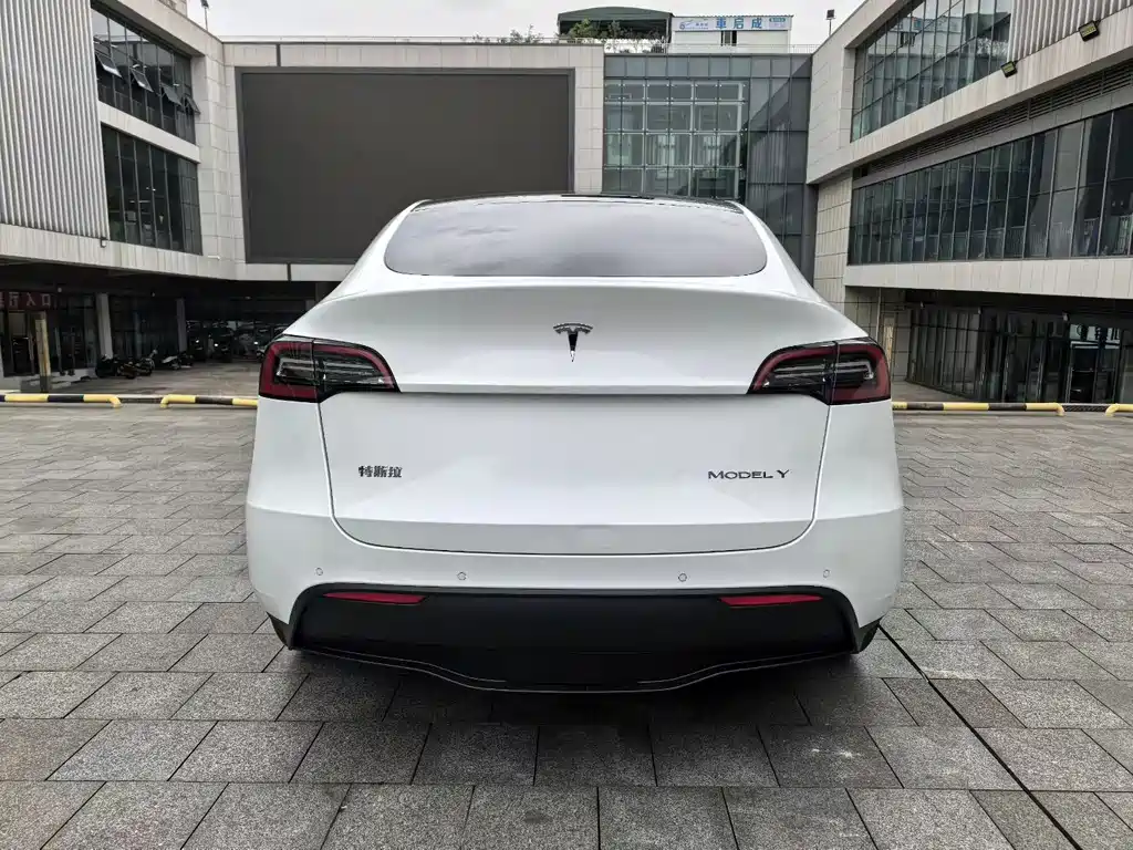 Tesla Model Y — миниатюра 13