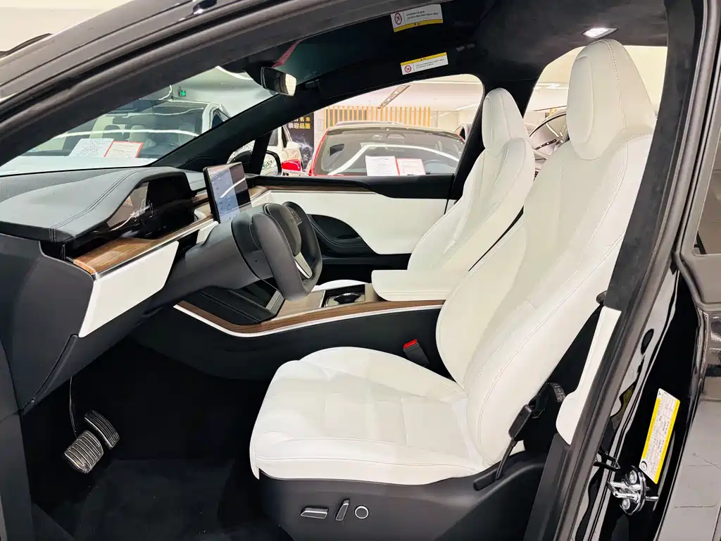 Tesla Model X — миниатюра 14