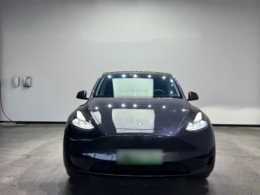 Tesla Model Y — миниатюра 5