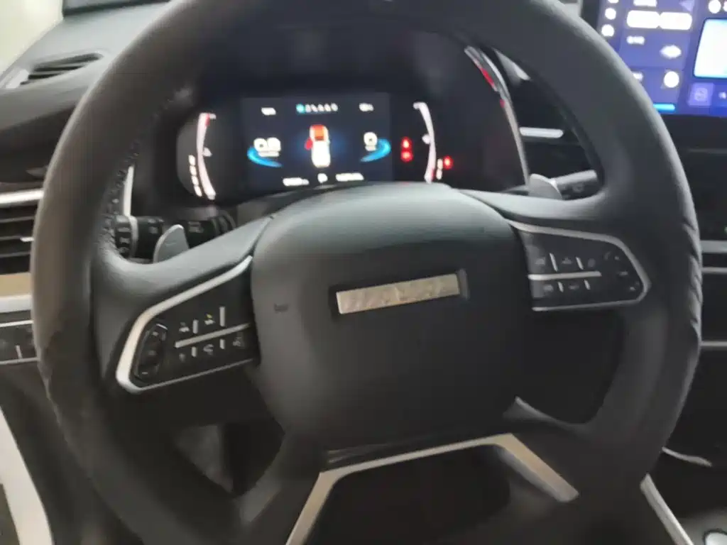 Haval H6 — миниатюра 11