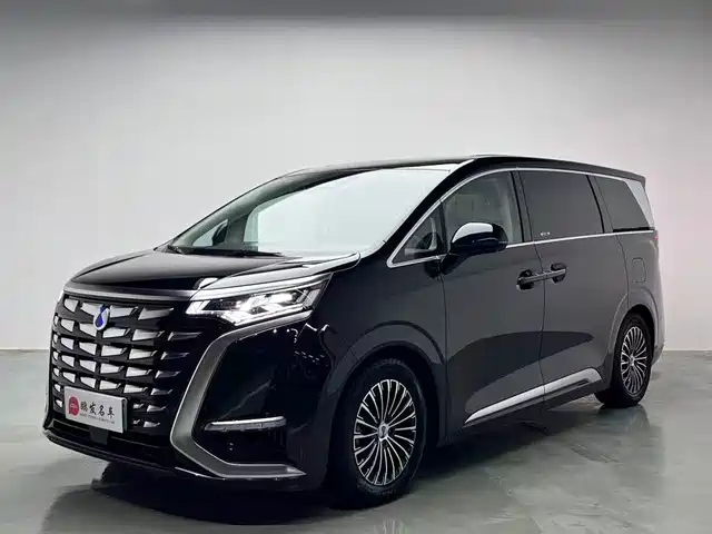2024 Denza D9