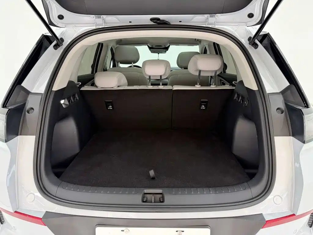 BYD Морской лев 05 EV — миниатюра 8