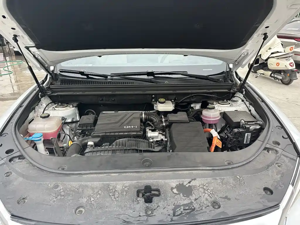 BYD SONGJIANG NEW ENERGY