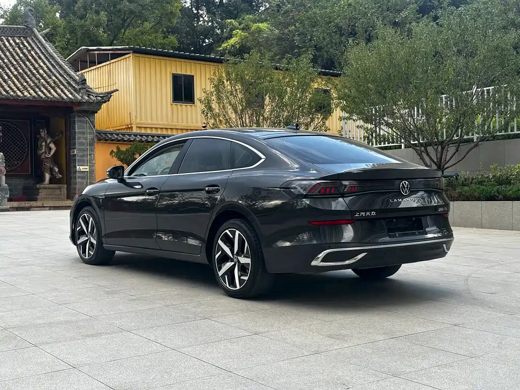 Volkswagen Lamando — миниатюра 11