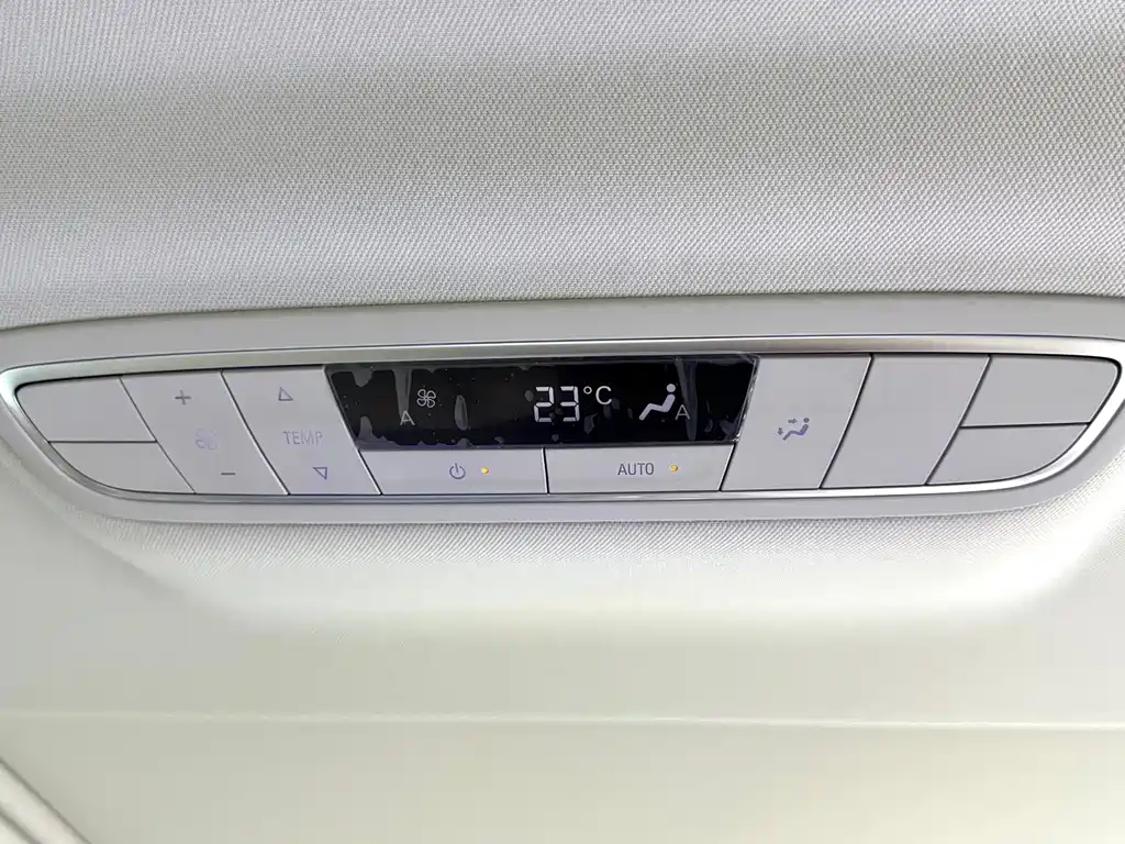Buick GL8 — миниатюра 10