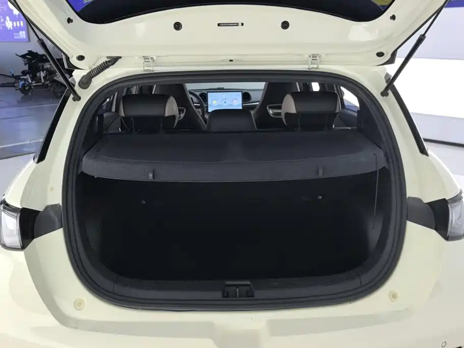 BYD Dolphin — миниатюра 4