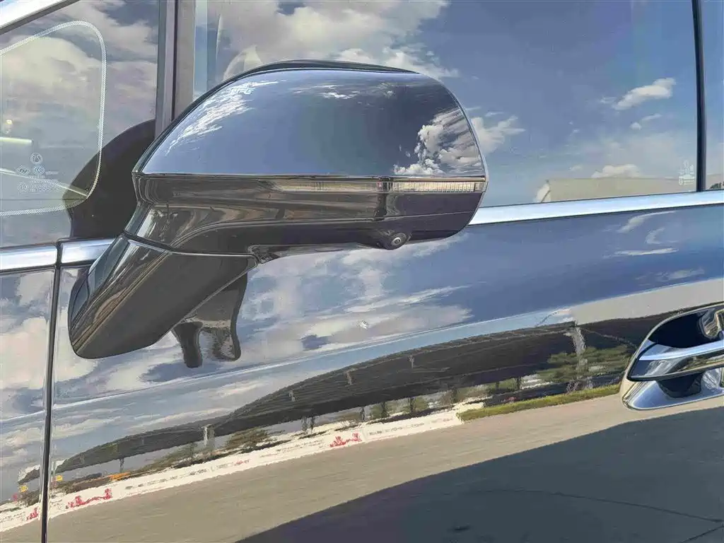 Denza Denza D9 — миниатюра 30